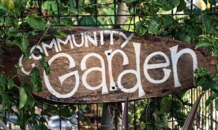 Amdega Support Community Garden