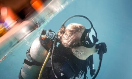 The Best Dive Sites in the World