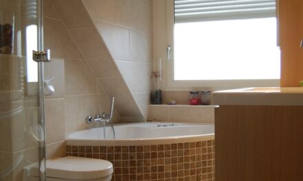 Premier Care in Bathing Advise On Bathroom Hazard Prevention